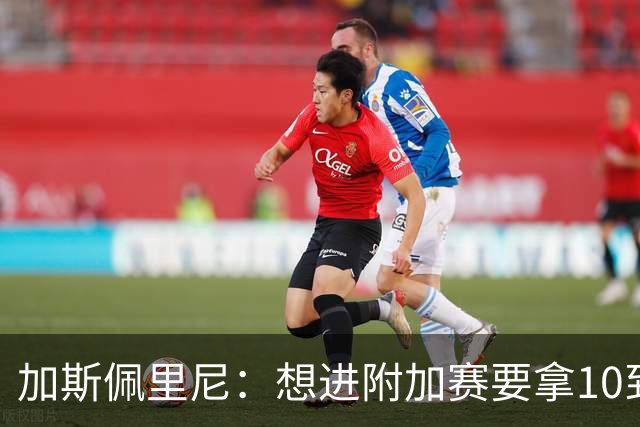 加斯佩里尼：想进附加赛要拿10到11分，我们需要赢得主场比赛